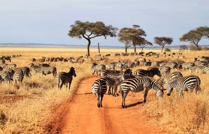 Tarangire National Park