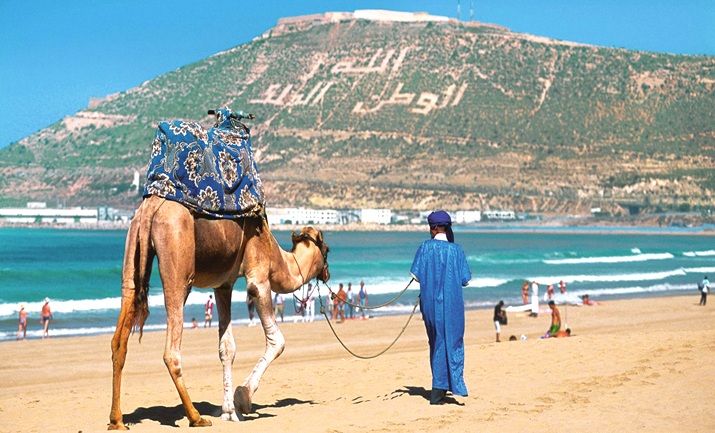 Agadir Half Day Tour