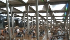 Alexandria Library