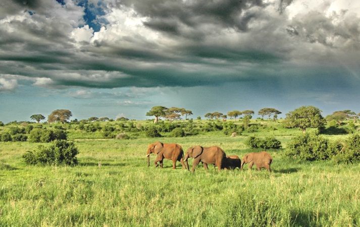 Serengeti National Park