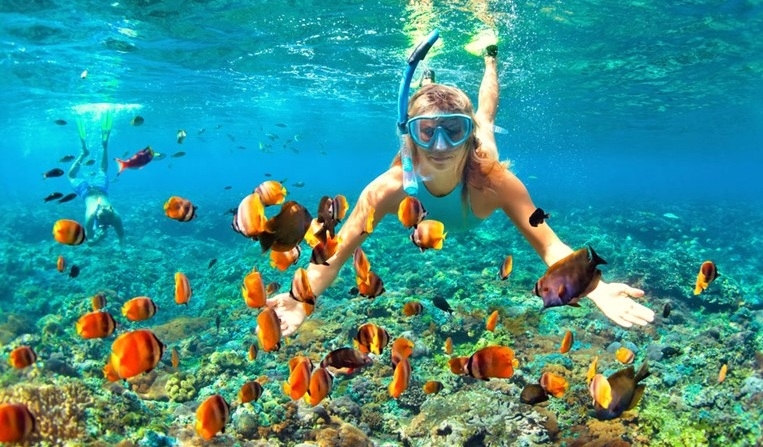 marsa alam snorkeling, port ghalib