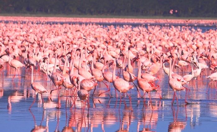 Lake Nakuru National Park