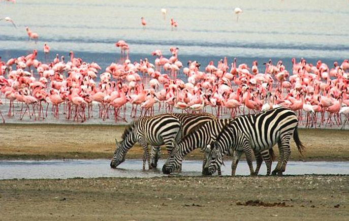 Lake Manyara