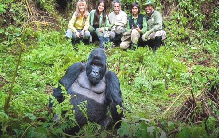 Bwindi Impenetrable National Park