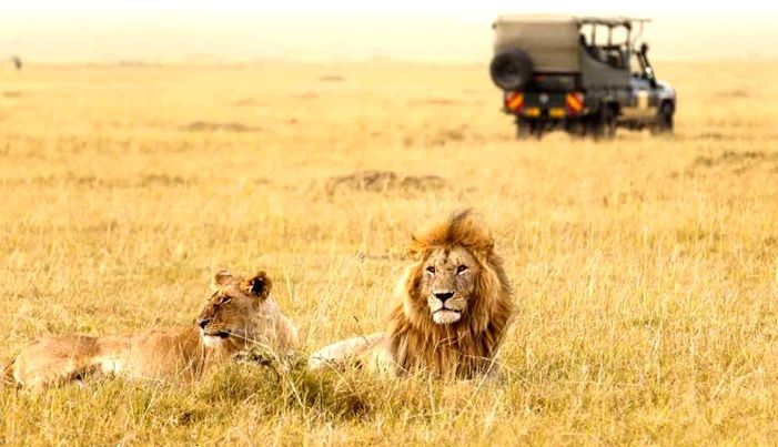 Maasai Mara National Reserve
