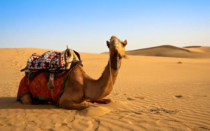Wahiba Sands