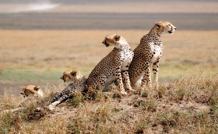 Serengeti National Park