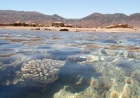 Nuweiba