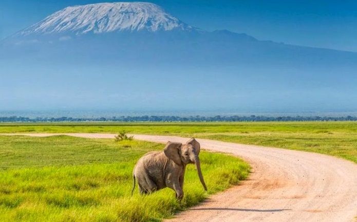 Amboseli National Park