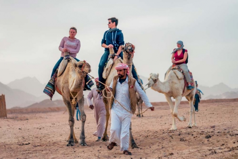 camel riding, marsa alam