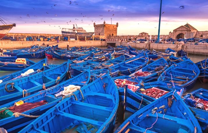 Essaouira Day Tour