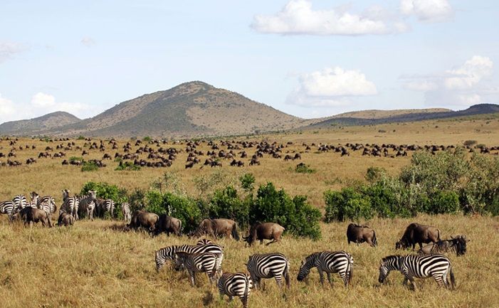 Maasai Mara National Park