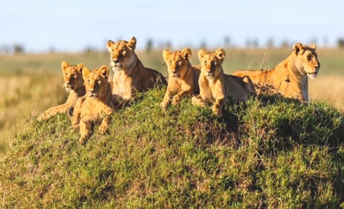 Serengeti National Park