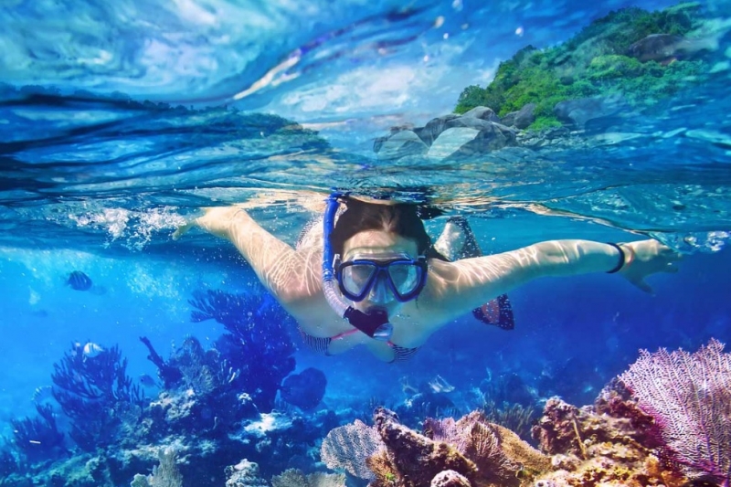 port ghalib snorkeling