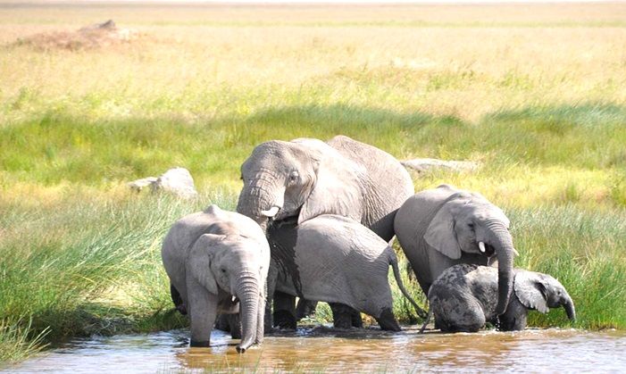 Serengeti National Park