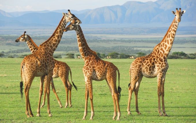 Serengeti National Park