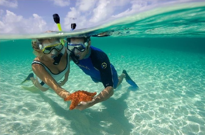 snorkeling port ghalib