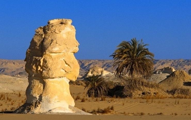 Farafra Oasis Farafra Oasis