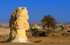 Farafra Oasis