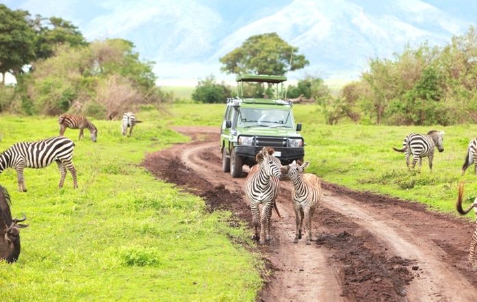 Ngorongoro National Park