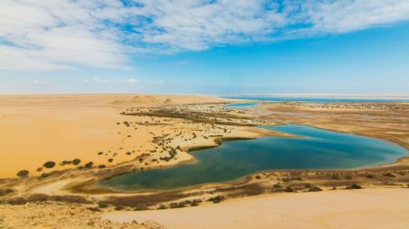 Fayoum Oasis