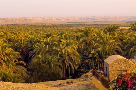 Dakhla Oasis