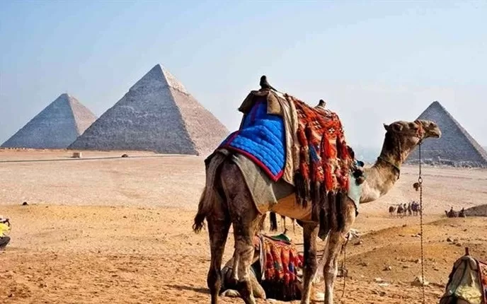 Camel Riding