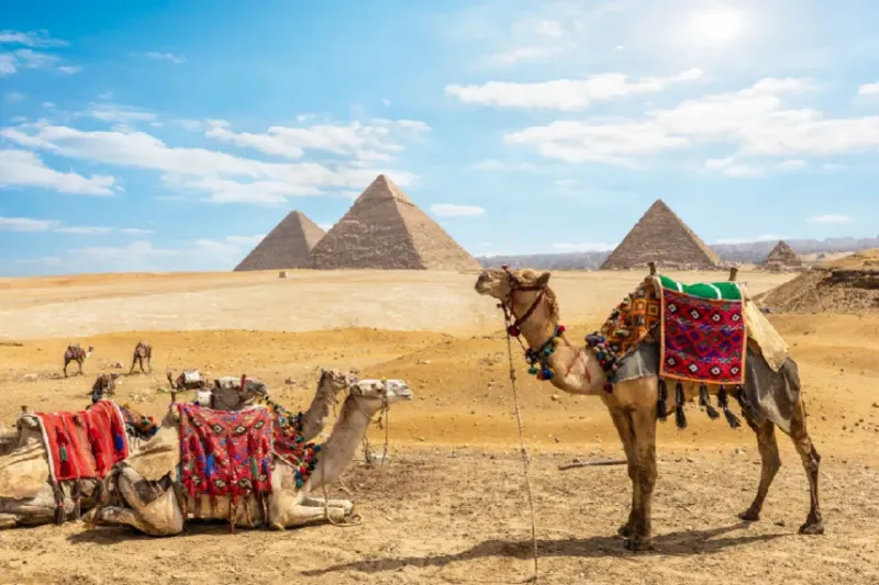 Unforgettable Egypt 5 Day Tour | Explore Cairo, Luxor, Aswan & Abu Simbel