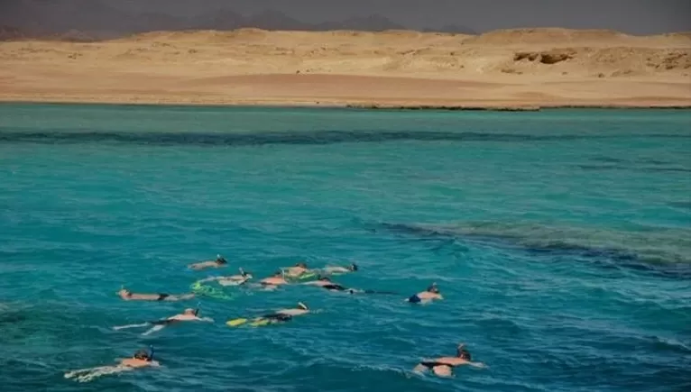Ras Mohammed Snorkeling