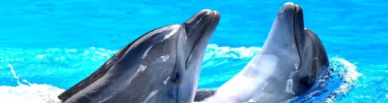 Marsa Alam Excursions