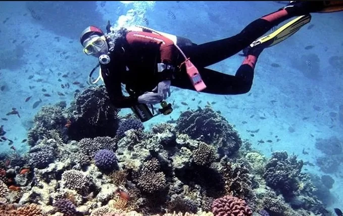 Snorkeling Tour