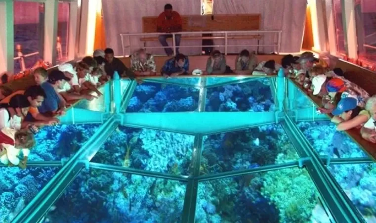 Glass Bottom Boat in Sharm El sheikh