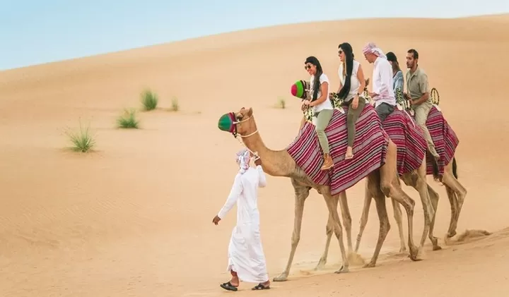 camel riding
