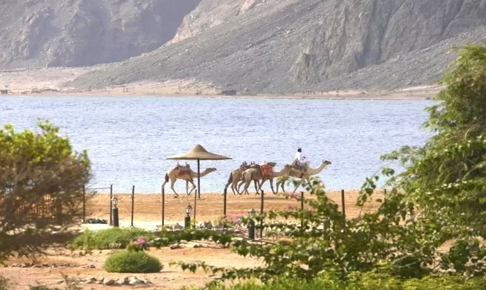 Happy life village