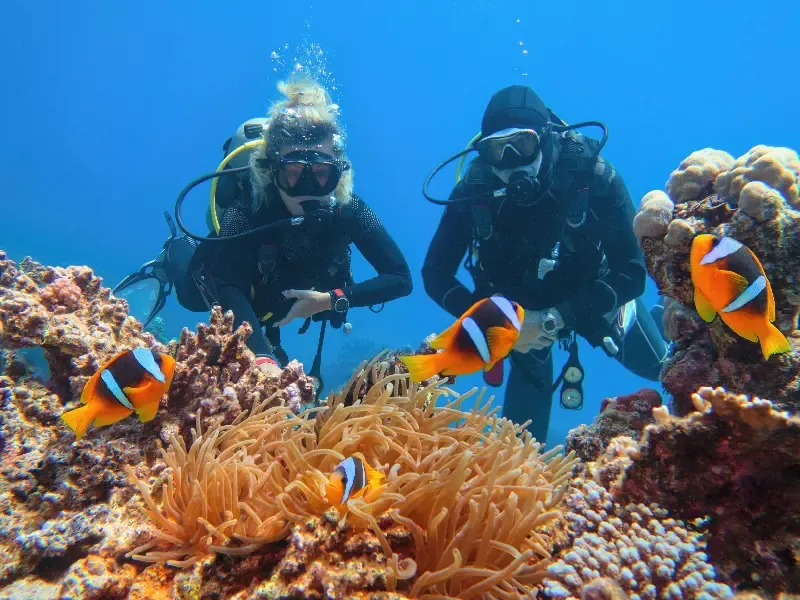 10-Day Cairo Nile Cruise and Red Sea Holiday – Discover Ancient Egypt and Relax in Marsa Alam