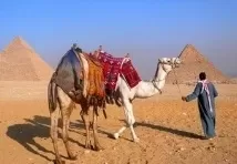 Cairo Tours