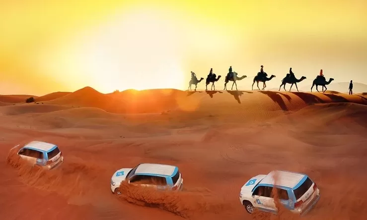Desert Safari