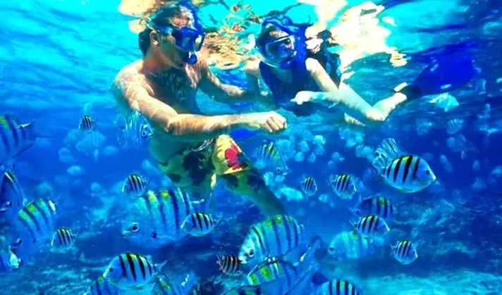 Snorkeling in Aqaba