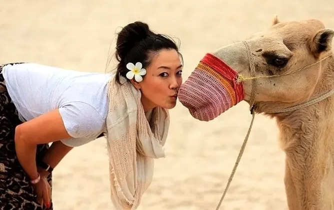 Camel Riding At Giza Pyramids