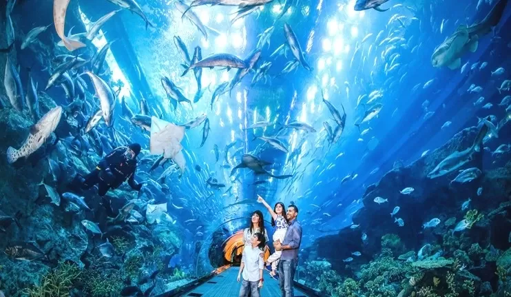 Dubai Aquarium