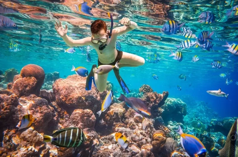 Ras Mohammed Snorkeling