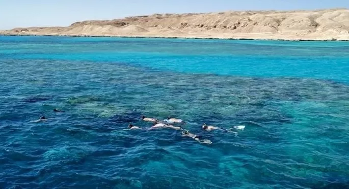Giftun Island Snorkeling 