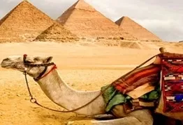 Giza Pyramids