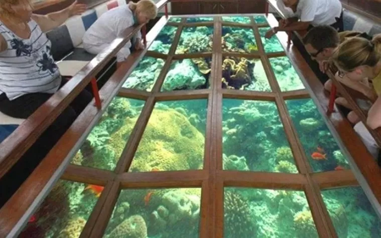 Glass Bottom Boat