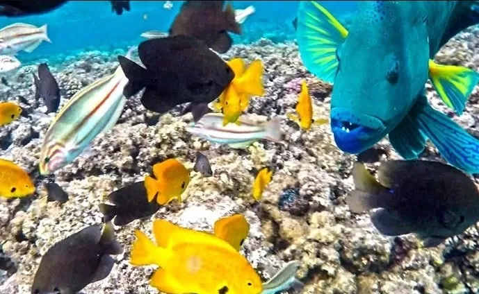 Hurghada, Red Sea