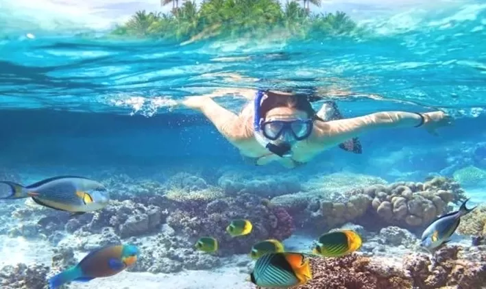 Snorkeling Aqaba