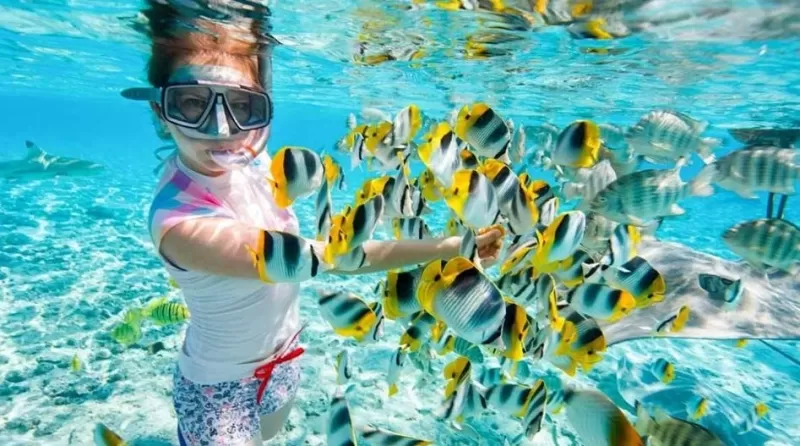 Ras Mohamed Snorkeling