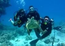 Sharm El Sheikh Day Tours